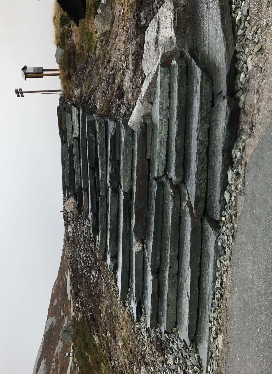 Figur 19: Steintrapp fra parkeringsplassen på Øygardstølen som viser hvor stien starter. Øverst til høyre ser man en av svarkassene til undersøkelsen. Foto: Peter Hermansen.