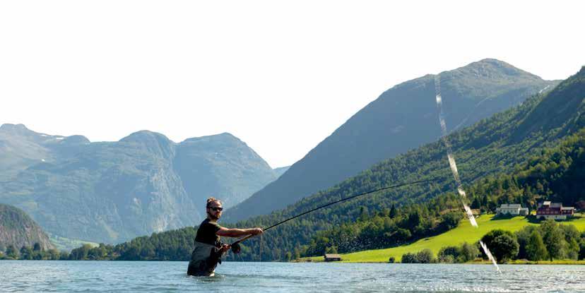 SAMMENDRAG: Laksesesongen 2018 Vi anslår at det ble fisket 97 194 laks i norske elver i 2018. Det er 19 % færre fisk enn gjennomsnittet for de foregående 10 sesongene.