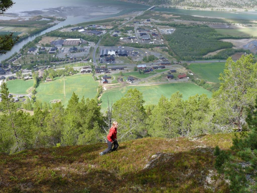 Side: 7 Figur 2 Frå Nonshaugen i sør, ned mot Gjeisar. 3 Sikringsnivå Krava til skredtryggleik for nye bygningar er gjeve i Plan- og bygningslova.