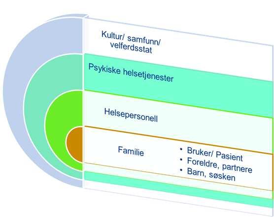 Pårørende får oppfylt rettighetene sine og blir møtt med respekt Barn som pårørende blir fanget opp og får nødvendig informasjon og oppfølging