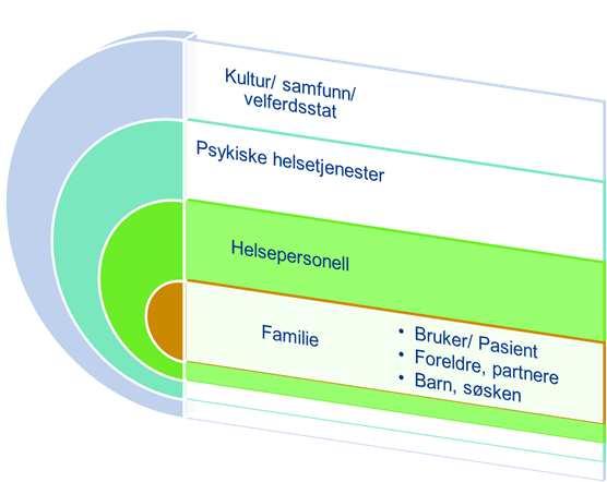 En mors opplevelse: «Sjokket over innleggelsen hans ble så mye større da vi så hvordan systemet fungerte.