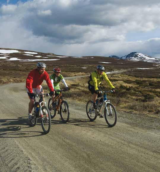 STØLSRUTA Km:??? Denne flotte sykkelruta går gjennom flere flotte støls- og fjellområder i Hallingdal. Start fra Golsfjellet (evt.