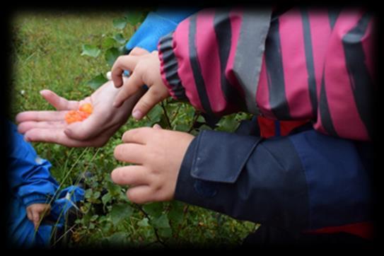 EKSEMPEL FRA ÅRSHJULET- SEPTEMBER Måned Tema Tradisjoner Språk og kommunikasjon Sosial Kompetanse September Høst Høstsommer- Čakcageassi Sanking av bær Sanke duodjimaterialer (som blader, kvister,