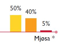 Mjøsa med