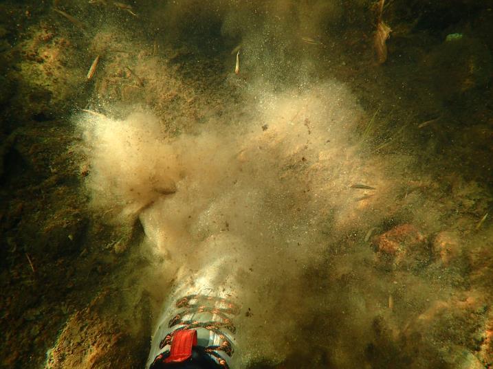 Dette gir økt sedimentering, og økt forbruk av oksygen i substratet går ut over overlevelsen til de unge muslingene (figur 17). Degerman mfl.