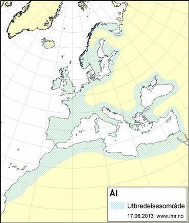 Europeisk ål Katadrom Kystorientert forekomst Kun 1 bestand i Europa