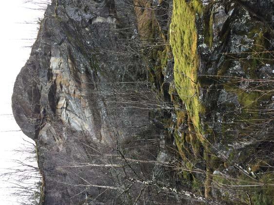 Under bergveggen er det en steinur bestående av for det meste grove blokker som trolig har ramlet ned for