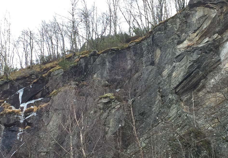 Bildene over og under viser strukturen i berget med tydelige folder og skifrighet. Det kan observeres flere ulike sprekkesystem i bergveggen, se gule linjer på bildet under.