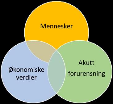 petroleumsvirksomheten. Hovedfokus i RNNP har vært på personellrisiko forbundet med ulike uønskede hendelser.