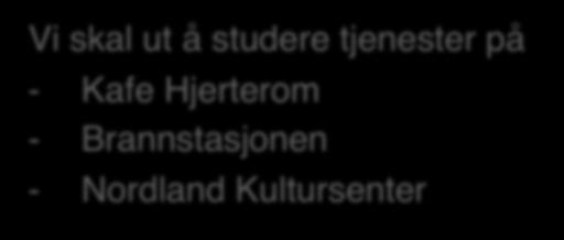 Oppgave del 2 Sortere data, få innsikt, og skap nye ideer: Vi skal ut å studere tjenester på - Kafe Hjerterom - Brannstasjonen - Nordland Kultursenter A. Hva er våre viktigste funn når det gjelder 1.