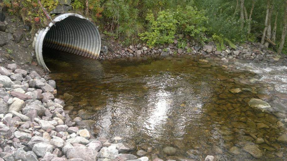 16/100 m² ndf vei Tidligere fisk ovnf vei Utbedring: Terskler, heve undervann