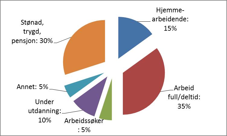 Side 12 av 23 Figur 13 Brukernes foreldre født i Norge Dagsamtaler samtaler med personer som ikke er beboere Det har vært registrert 20 personer som har hatt 68 samtaler i 2017.