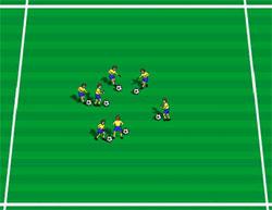 (Aldersgruppe: 6 8 og oppover) Nappe hale Inne i en firkant har spillerne en ball hver.