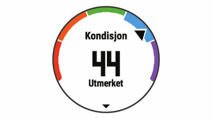 trening. Du bør planlegge fremover, da denne formtoppen kun er mulig å opprettholde over en kort tid. Produktiv: Nåværende treningsbelastning får formen og ytelsen til å gå i riktig retning.