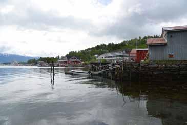 Ved beplant bør det brukes stedsegnete arter. Det bør vurderes om det er mulig å bygge en fisketrapp ved dammen i Prestelvparken.