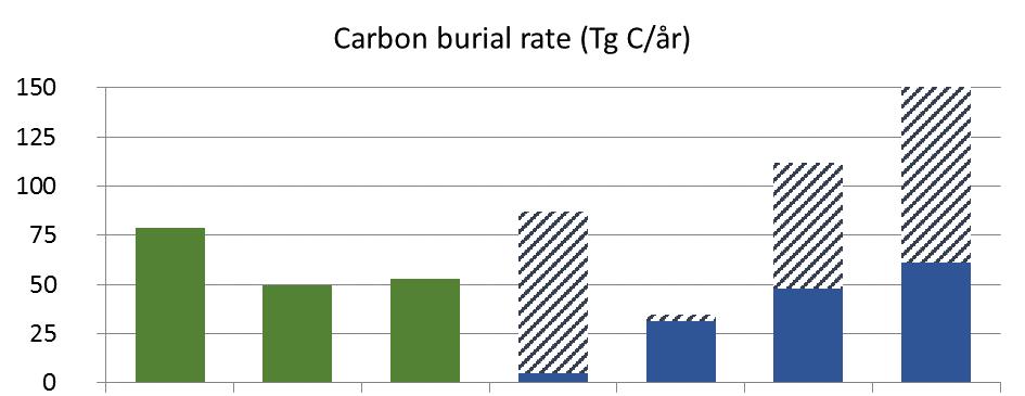 Blue is the new green Globally, the marine carbon sequestration is in scale with the terrestrial The importance of KELP communities as carbon sinks have been largely overlooked, and the dynamics of