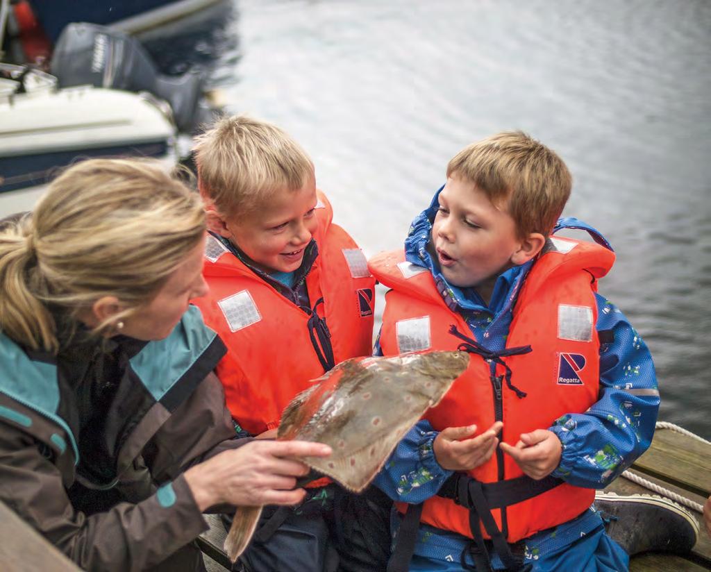 Er vi mange fiskeelskere? Siden vi er i verdenstoppen når det gjelder sjømatkonsum, kan man si at nordmenn generelt er glad i fisk.