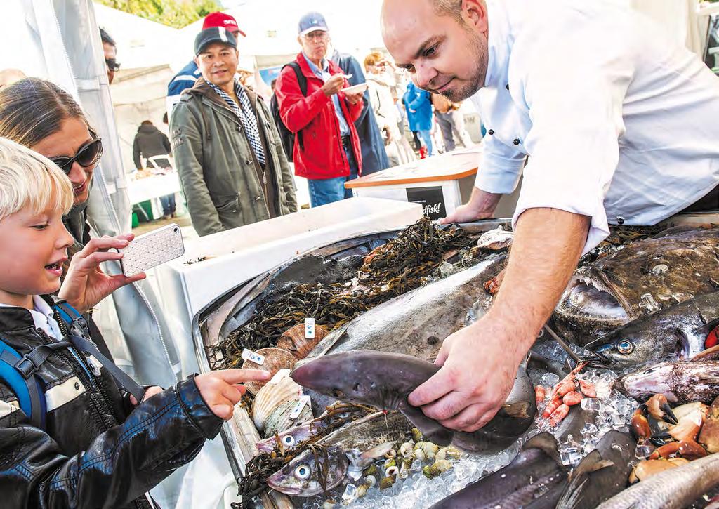 Sjømats andel av konsum + potensial Måltider 430 mill Fisk og skalldyr 183 mill Potensial 7,9 mrd Totalt Store muligheter for å øke konsumet Potensialet for økt sjømatkonsum i norske husholdninger er