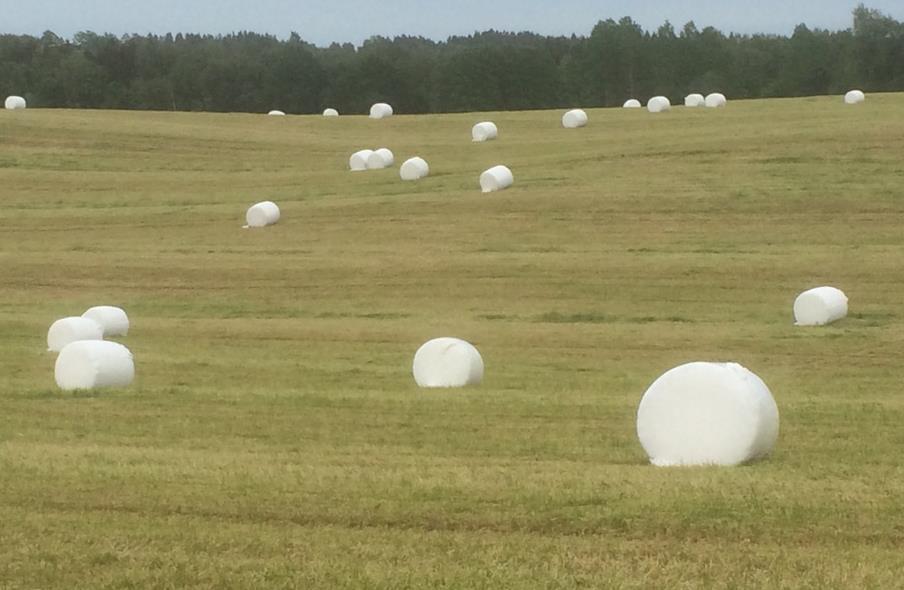 Få oversikt og start planleggingen