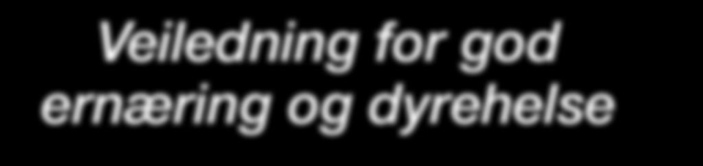 FJØRFE Veiledning for god