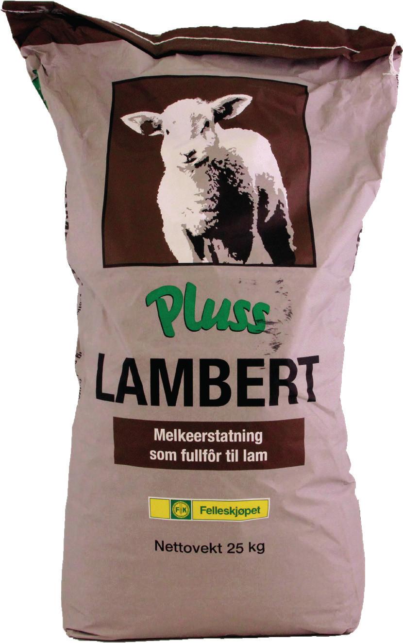 Sau Pluss Ulla og Pluss Lambert mjølkeerstatninger til lam og kje 4viktige miljøfaktorer for å lykkes i kopplamproduksjon Tett liggeunderlag Trekkfritt Tørt Temperatur Pluss Lambert 24 % Protein, 24