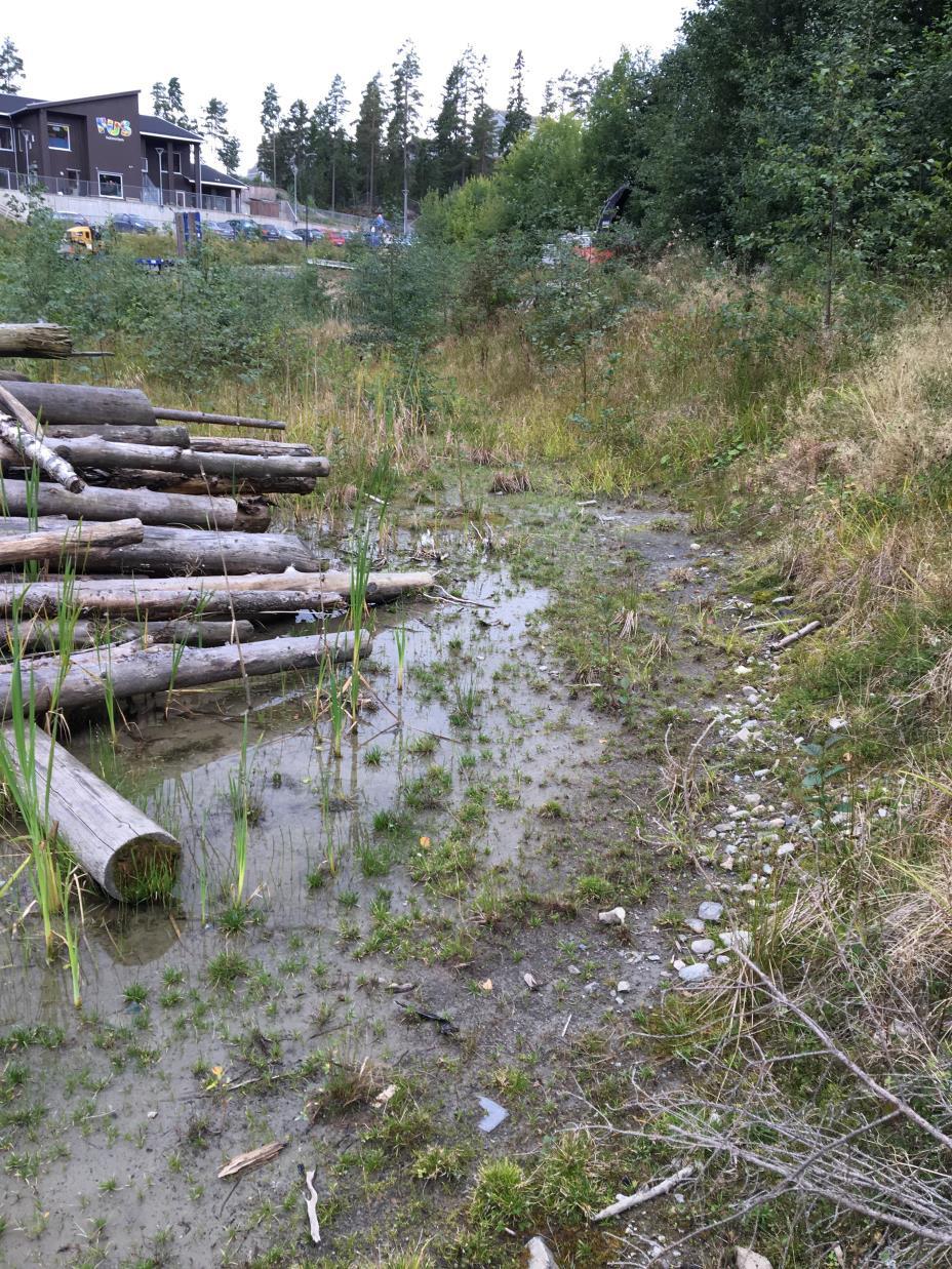 Nedbør som faller i dette område vil i dag følge terrengets helling og ansamles på lavere liggende deler av området.