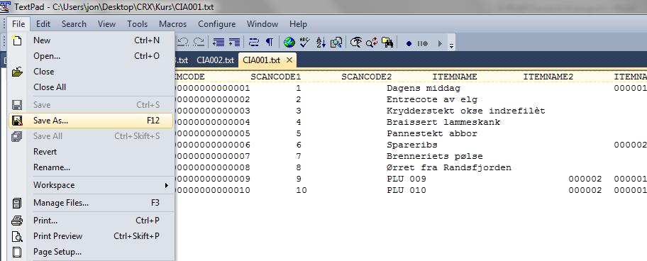 format før import i programmet Når du har endret på CIA001,