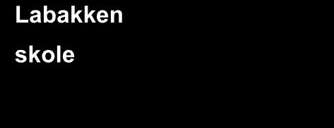 61 elever (7 elever fra område b, 12 fra c, 28 fra d og 14 fra e og f). Elever fra område e og f vil også krysse Kirkeveien ved Borgheim.