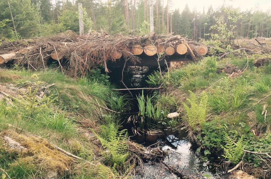 Tidsforbruket for å bygge ei slik bru avhenger av hvor langt virket og baret må fraktes og mengden tømmer som behøves (lengden på brua).