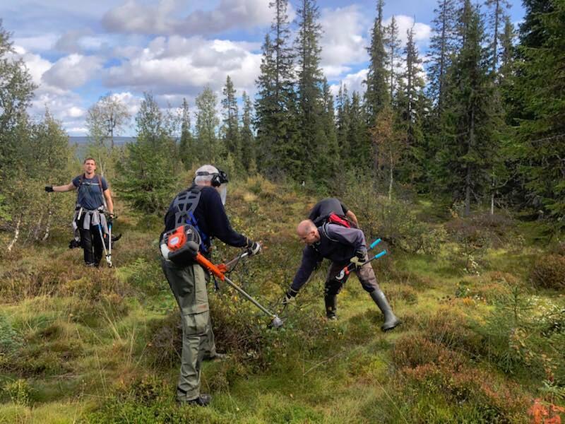 Dugnad Fjellsenter 15. september ble det arrangert dugnad på Fjellsenteret.