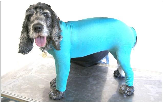 15% på Dog&Cat body Størrelse Normalpris standard Normalpris m/4 leggings XXX-small super-mini, female Kr 138, - Kr 215, - XX-small