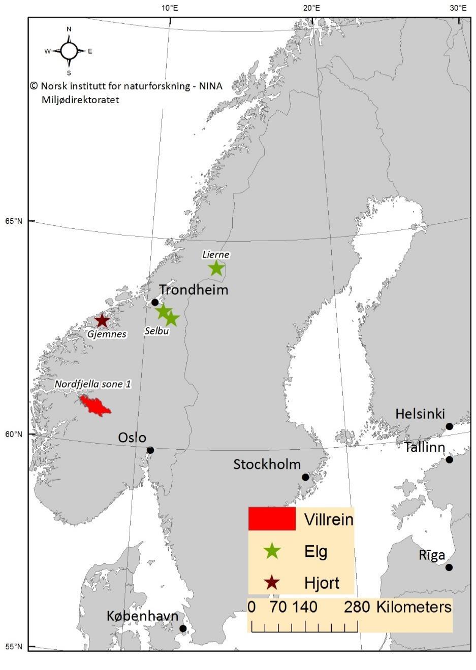 4.4 Funn av klassisk og atypisk skrantesjuke i 2016 og 2017 Hos dyr felt i 2016 og 2017 ble klassisk skrantesjuke påvist hos 13 villrein fra sone 1 i Nordfjella villreinområde, mens atypisk