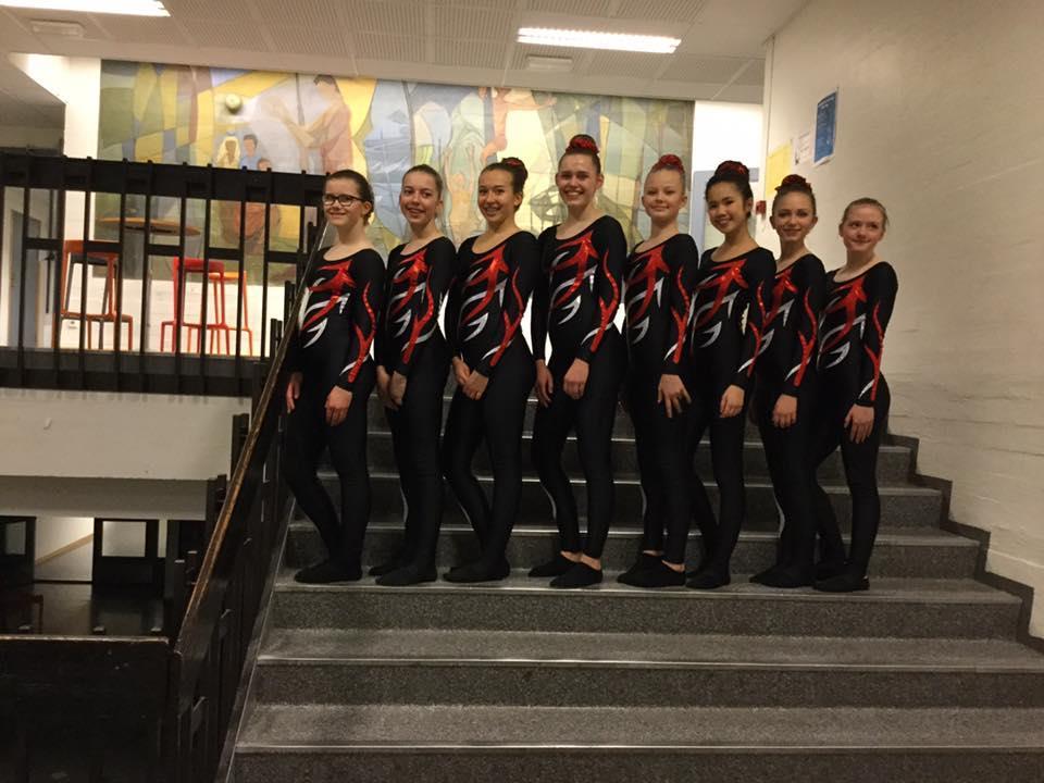 Serie konkurransene ble avholdt i Haugesund, Sandnes og Sola Gruppa bestod i vår av ca 15 gymnaster men økte kraftig høsten 2017 til 40 gymnaster Ingeborg pokalen og 1 seriekonkurranse 19 februar