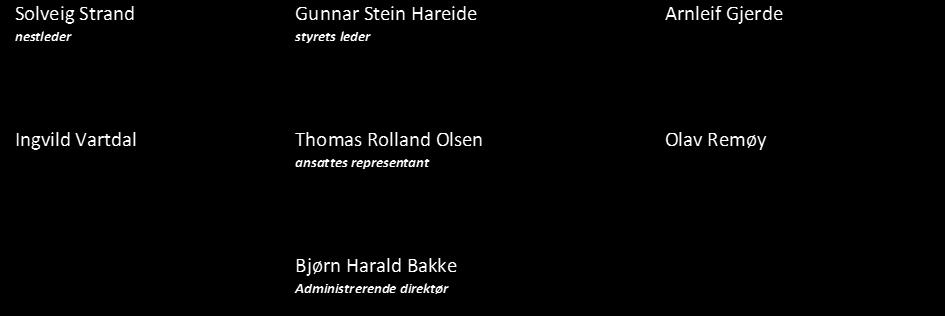 Gunnar Stein Hareide Solveig Strand styrets leder Kåre Giske nestleder Petter Geir Smådal Olav Remøy Sylvi Aaland Gjengedal Bente Reklev Turid Elisabet Bjørneset Bjørn Harald Bakke ansattes