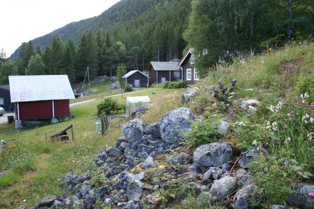 DEL AV HELHETLIG LANDSKAP: Slåttemarkene på Venedokken grenser inn til artsrik naturbeitemark på flere kanter.