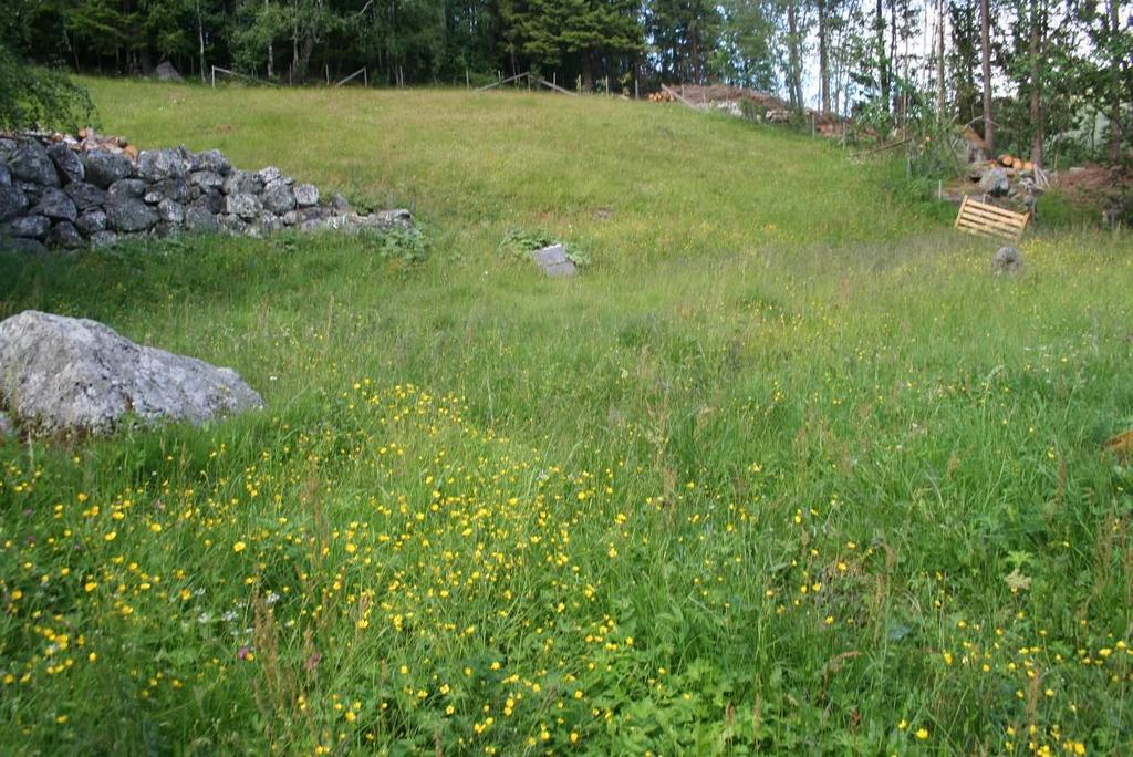 Slåttemarkslokalitet Veslebanken/Eikrun sett mot øst.