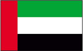 Case Study: CEDAW Reservations and Objections The United Arab Emirates makes reservations to articles 2 (f), 9, 15 (2), 16 and 29 (1) of the Convention, as follows: Article 2 (f): The United Arab