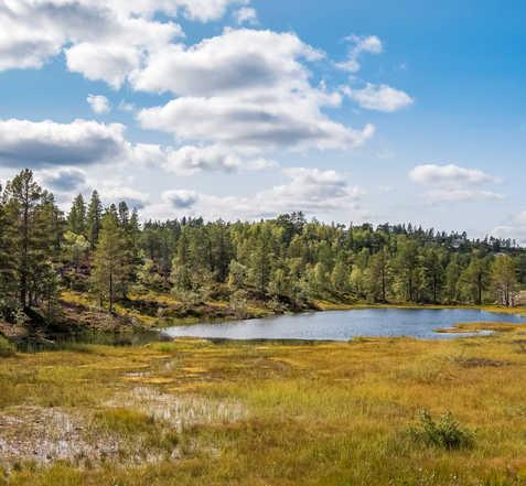 Kvisletoppen Aust BLI ENDA BEDRE KJENT MED EIENDOMMEN