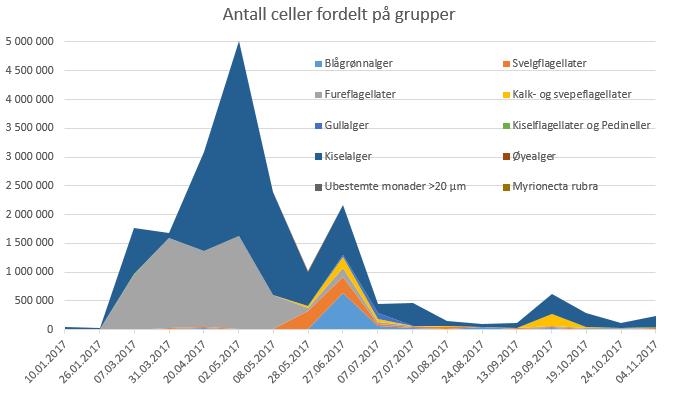 Figur 16. Antall celler per liter for 2017. Algeanalysene er foretatt på prøver fra ca.