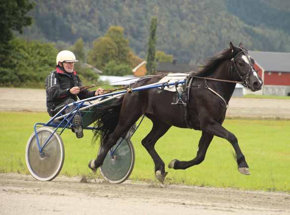 Abonner på Leangens flotte travprogram! Pris kr.