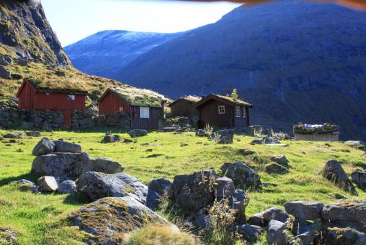 Registrering/overvåking Villrein SNO har sammen med sekretæren for villreinsutvalget gjennomført en minimumstelling fra helikopter.