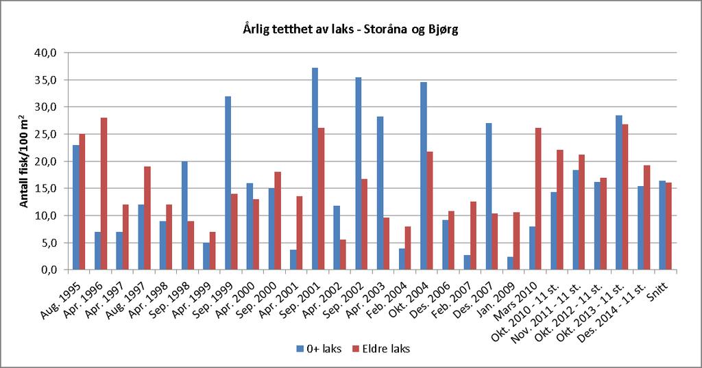 enn i 2013, og ligger på omtrent samme nivå som ved registreringene i perioden 2010-2012. Tetthetene i 2013 var blant de høyeste som er registrert. Figur 4.3. Tetthet av laksunger i Storåna og Bjørg fra 1995 til 2014.