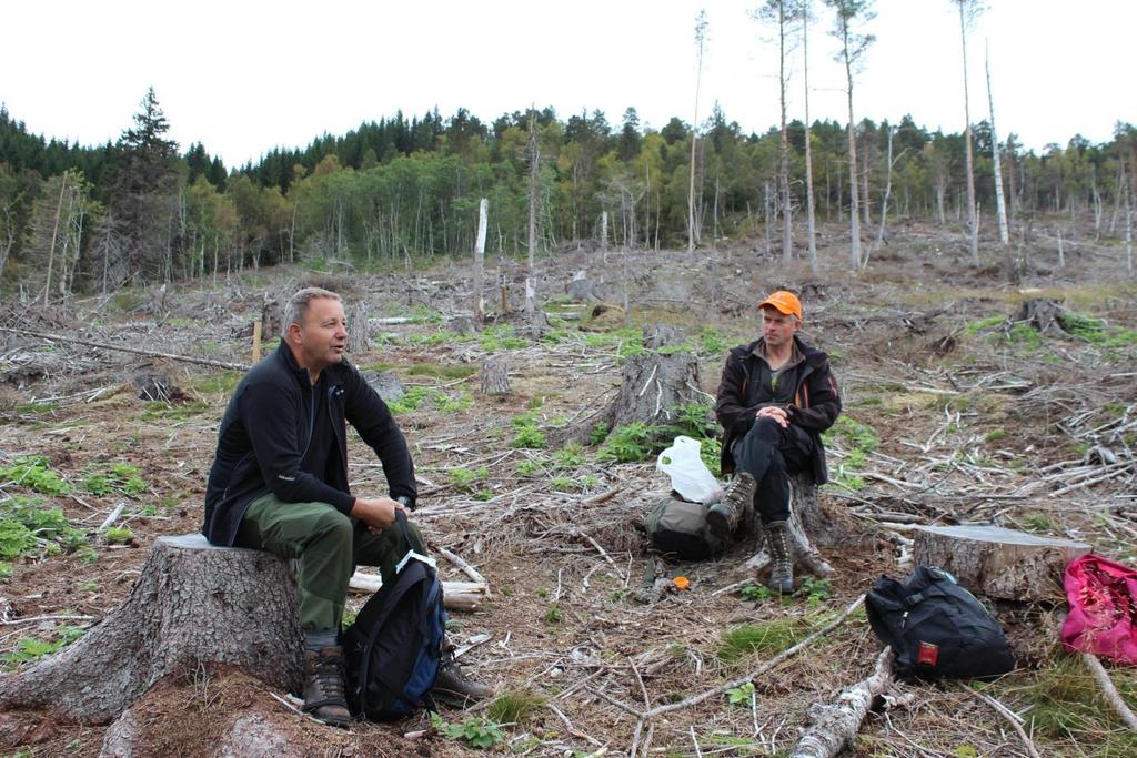 Rapport fra feltforsøk med voks og kjemisk behandling som beskyttelse mot gransnutebiller i Meldal, Sør-Trøndelag, 1 høst Oppsummering Kontrollplantene ble mest skadd av gransnutebiller i første