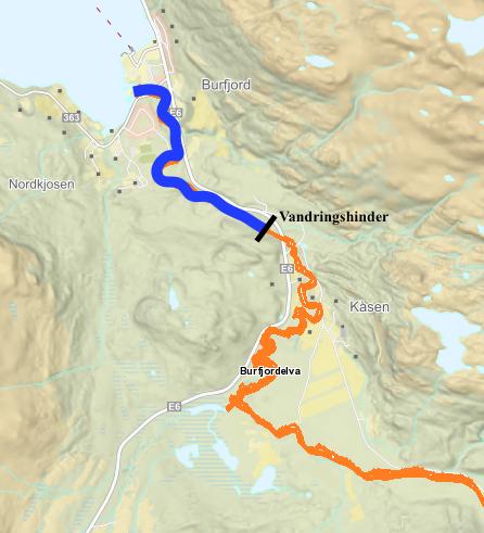 Burfjordelva Burfjordelva ble undersøkt fra fossen (vandringshinder) til munningen tre runder av to dykkere. Det var gode forhold alle rundene.