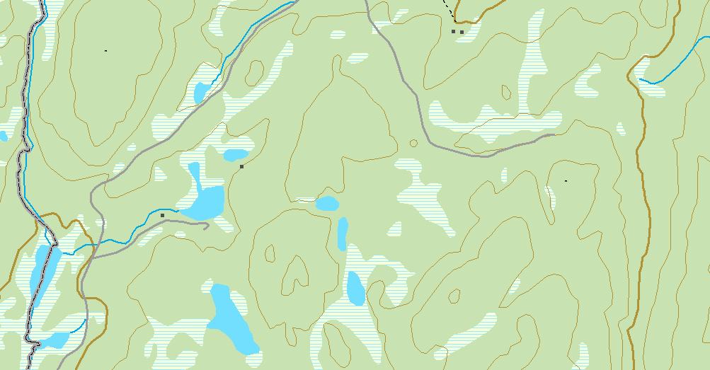 nordre Brattlitjernet 28 s 558 27 578 523 Holsjøen 531 540 6726000mN Naturfaglige registreringer i