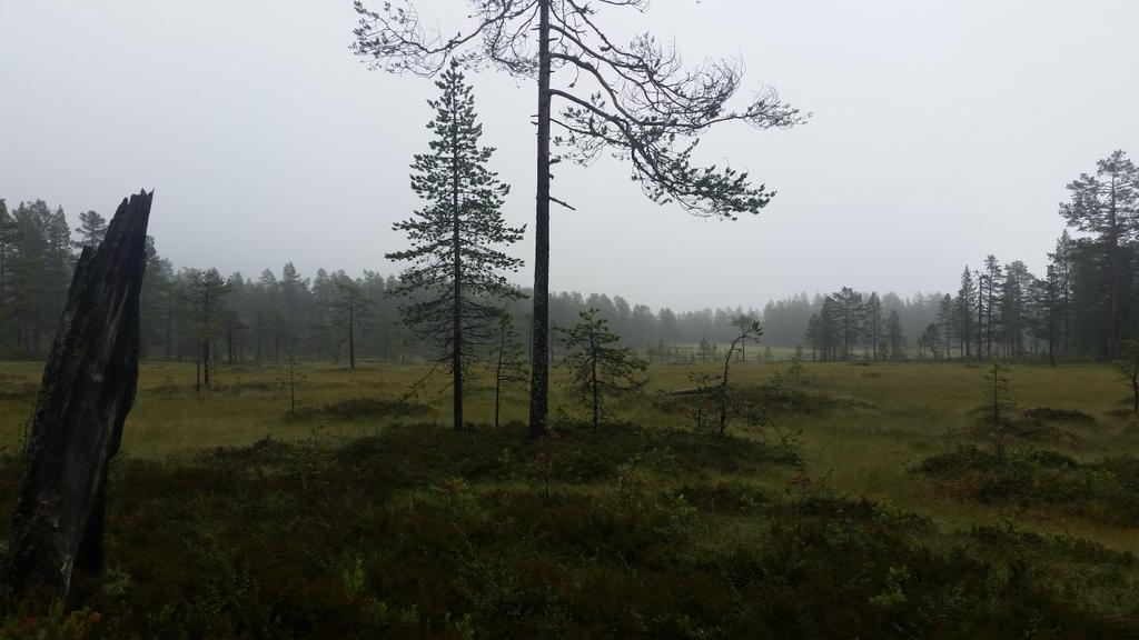 Bilder fra området Tørrberget Typisk inventar fra