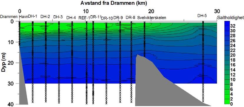 Side: 7 3.1 Hydrografi og oksygenforhold Figur 2 viser saltholdighet i de øvre 30 meterne i Drammensfjorden i juli 2010, mens Figur 3 viser saltholdighet i vannmassene under 10 meter.