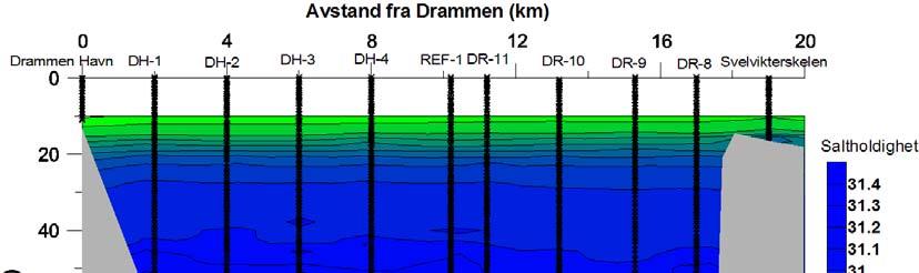 Side: 8 Figur 3 Saltholdighet (PSU) i vannmassene dypere enn 10 m i indre Drammensfjord 17. og 19.
