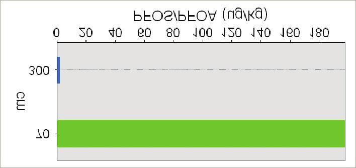 Ikke analysert A PFOS/PFOA jord (ug/kg) " ) <100 (normverdi) BRAV HS 2