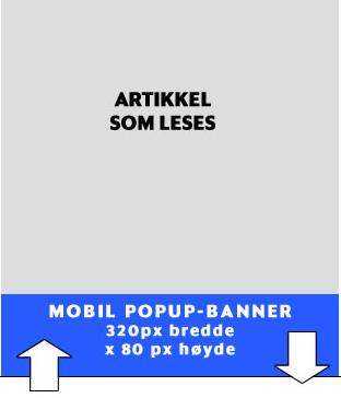 Materiellet kan byttes ut underveis i perioden. Vi roterer tre og tre annonser på hver bannerposisjon.